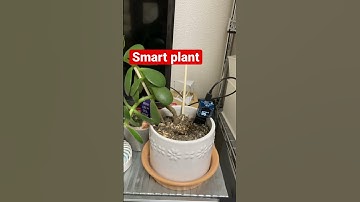 Smart Plant #diy #iot #arduino #raspberrypi  #technology #plants #home #電子工作