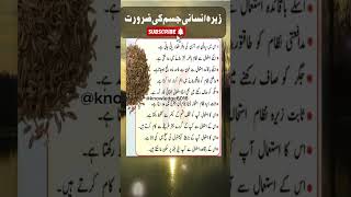 Zeera K Fairy Benefits Of In Seedsjeera K Faedy
