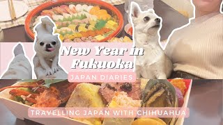 NEW YEAR IN FUKUOKA / Travelling With Chihuahua / Shinkansen With a Dog / Japanese New Year