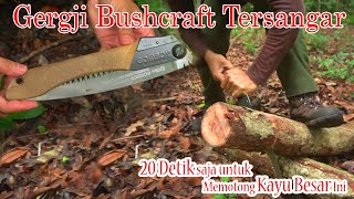 Riview Gergaji Bushcraft Silky Gomboy 240mm Outback Series. Gergaji Bushcraft Dan Survival.