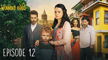 Wounded Birds - Episode 12 - [Multi Lang. Subtitles] Turkish Drama | Yaralı Kuşlar 2019