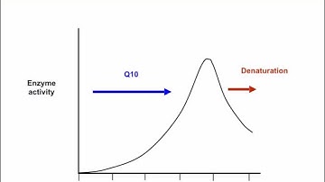 AS level. C.4 Effect of temperature and pH on enzyme activity