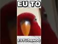 designes qual será os proximos? #viral #fed #meme #design #shorts #compartilha #anime #humor