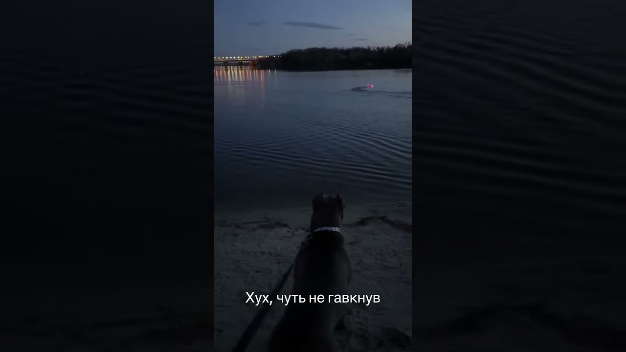 Хух, чуть не гавкнув😄