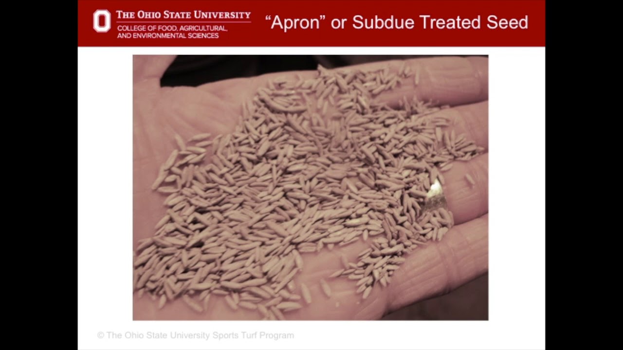 Turfgrass Establishment