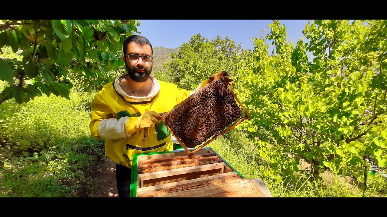 Ինչպես պատրաստել կանդի։ Как приготовить канди.