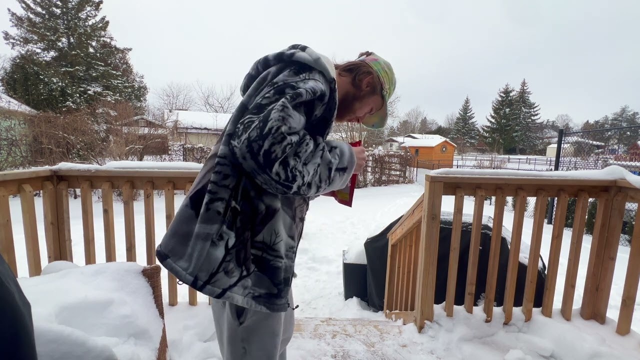 The Original Fraser Valley WEED CO. *STRAIN REVIEW* 'Top Shelf Indica' #2