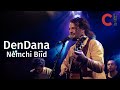 1095 dendana   nemchi bid  je men vais session live