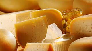 Wisconsin Cheese Renaissance