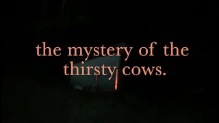 The Mystery of the Thirsty Cows