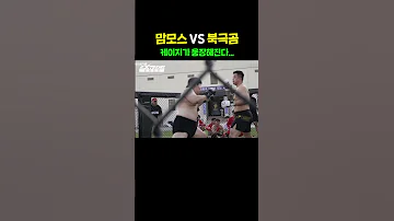 약육강식의 세계 Shorts 