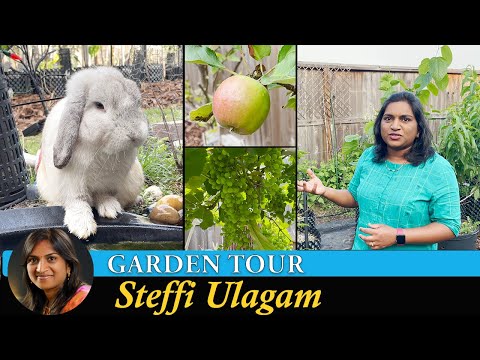 Home Garden Tour in Tamil | Steffi's Garden 2023 | Steffi Ulagam