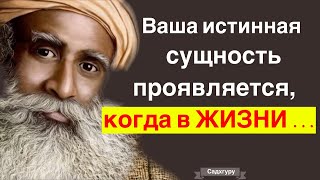 Цитаты, пропитанные мудрость веков. Лучшие Цитаты Великих Людей