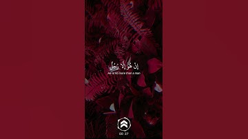 Surah Al MuminunAl Sheikh Yasser Al-dosari | سورة المؤمنون الشيخ ياسر الدوسري