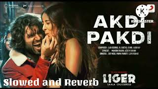 Akdi Pakdi | Slowed+reverb | Vijay Devarakonda and Ananya Pandey | Liger Song | Hindi Lofi Songs