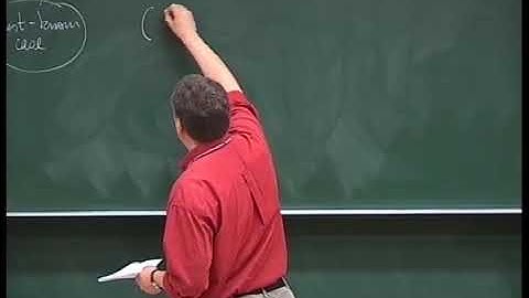 Prof. Meinolf Geck | Hecke algebras at roots of unity