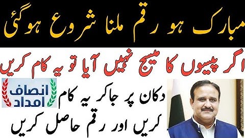 how to collect payment of insaf imdad | insaf imdad cash payment collect process | online status