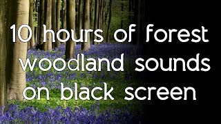 🎧 Forest woodland sounds on black screen dark screen high quality white noise ASMR