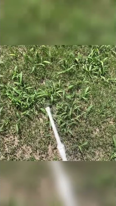 How to Kill Weeds Without Killing Grass | RoundUp Weed Killer