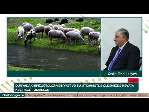 Dünyadakı epizootoloji vəziyyət və bu istiqamətdə həyata keçirilən tədbirlər | Təhlükəsiz qida #28