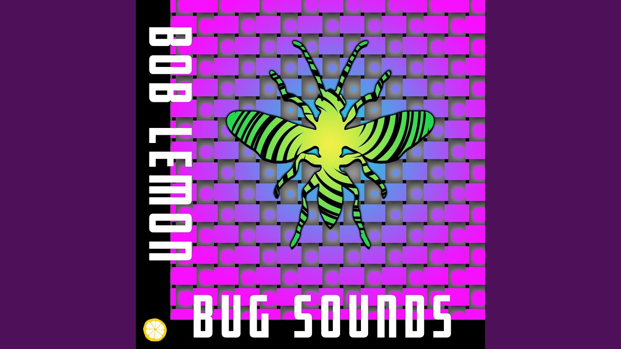 Watch Bug Sounds on YouTube Watch Bug Sounds on YouTube