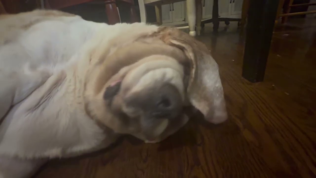 Завернутый в тонну