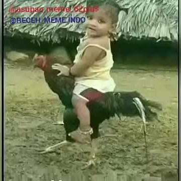 Story wa pesona indonesia