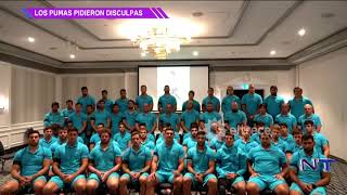 Los pumas pidieron disculpas Clearance