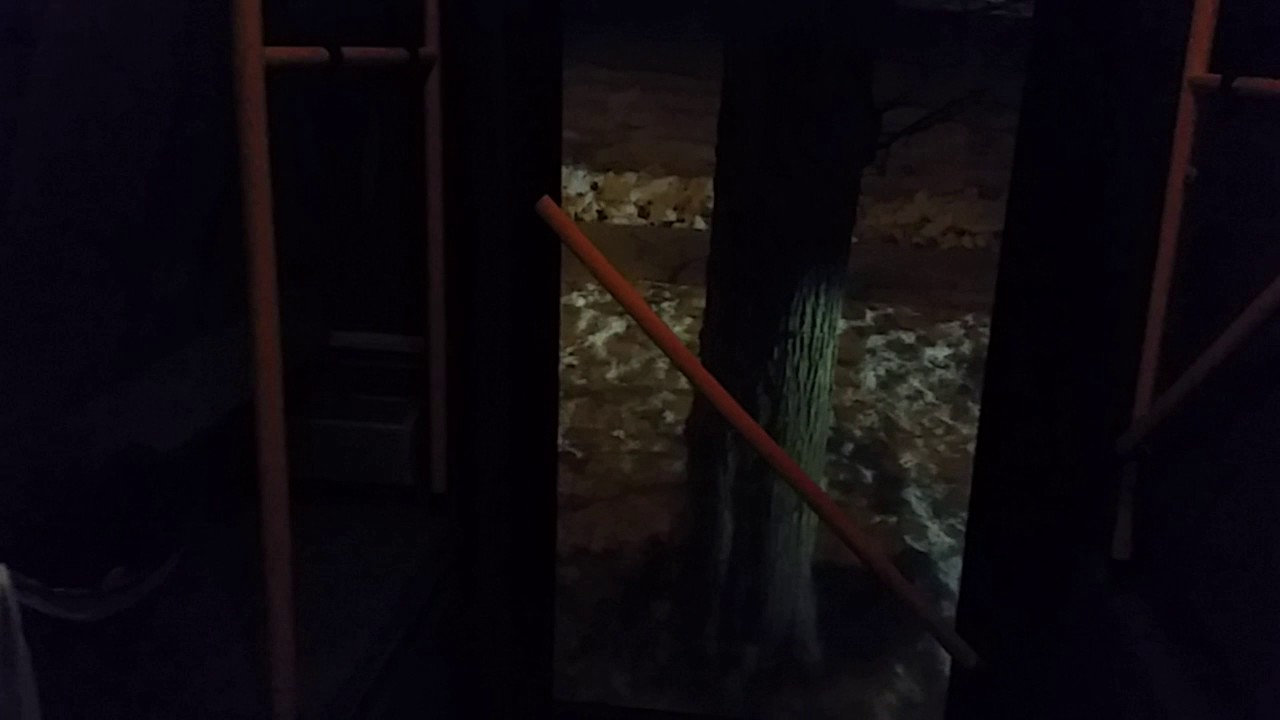 LOUD ZF Ecomat 5HP600!! Scania L94IB (BEAUTIFUL ZF)