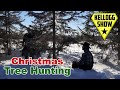 Kelloggshow christmas tree hunt  colorado