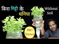 How to grow coriander at home without soil | Grow coriander or Dhaniya in Pot