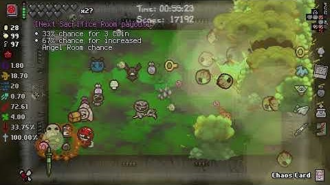 The best Binding of Isaac combo/run ever