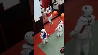 BALYAN.STEPAN TAEKWONDO