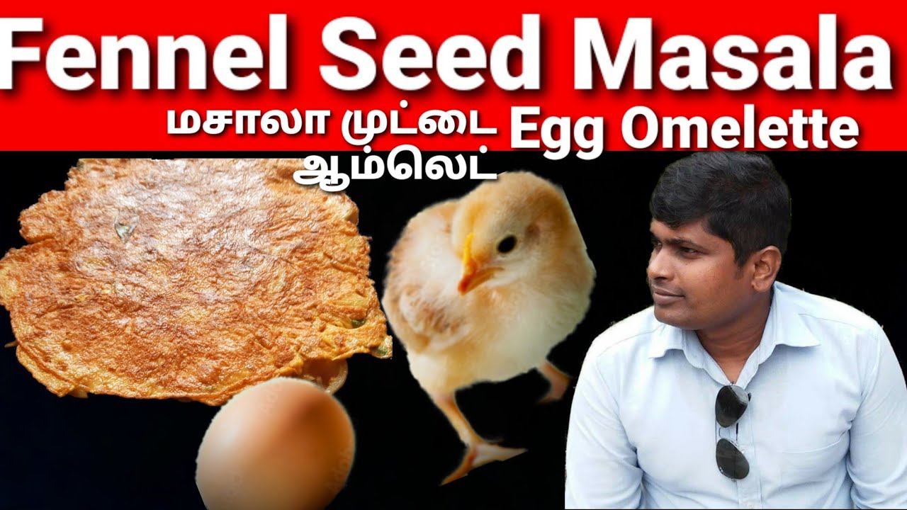 Fennel Seed Masala Egg Omelette | Masala Omelette recipe in tamil|How ...
