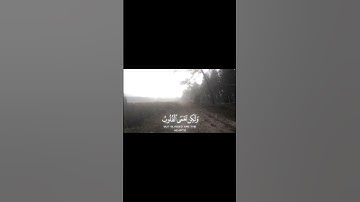 ياسر الدوسري سورة الحج | #ياسر_الدوسري #عام_١٤٢٥ #سورة_الحج #viral #quran #allah #ياسر_الدوسري_١٤٢٥ه