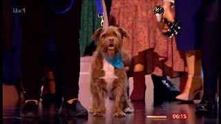 Dog steals the show at National Television Award \& Paul O'Grady tribute (UK) (fun story) 6\/Sep\/2023