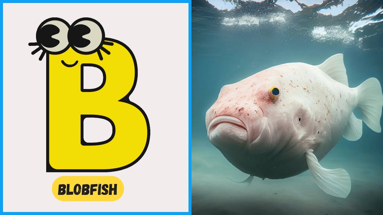 A to Z Underwater Animal Song 🌊 | Fun & Educational Sea Life Alphabet for Kids | #abcd #kids