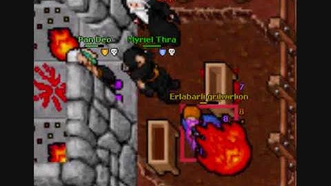 Tibia Aurea Pk