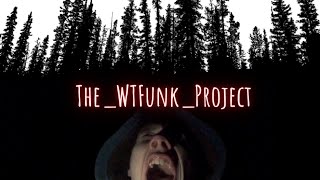 Phaenotyp Wtfunk-Video.mp4