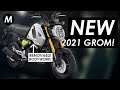 New 2021 Honda MSX125 GROM Announced!