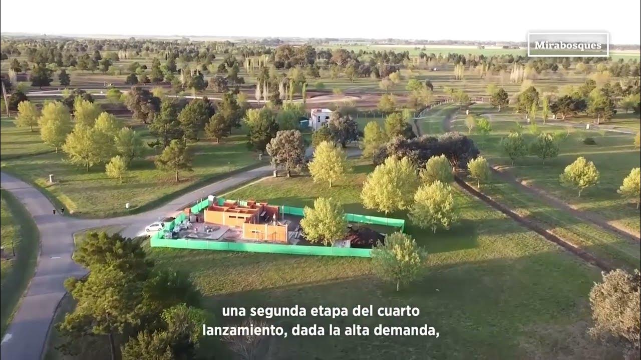 MIRABOSQUES CARDALES - YouTube