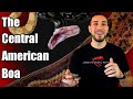The Central American Boa While Getting Bit! - (CAUTION if you don't do well seeing blood)