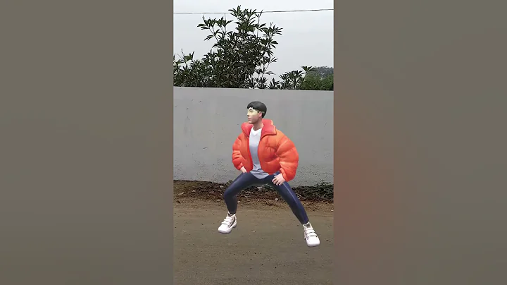 VID 20251219 014851 909 bsl