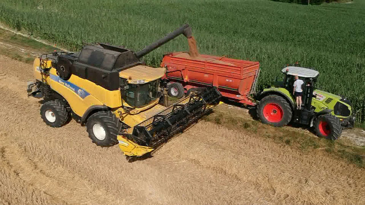 ⁣Vol au dessus la moisson