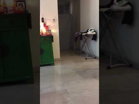 disappearing-prank-on-dog