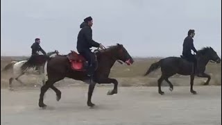 Zəfər günü yarışı 3000 m 🇦🇿!!! Qarayel Hako BozAt👍