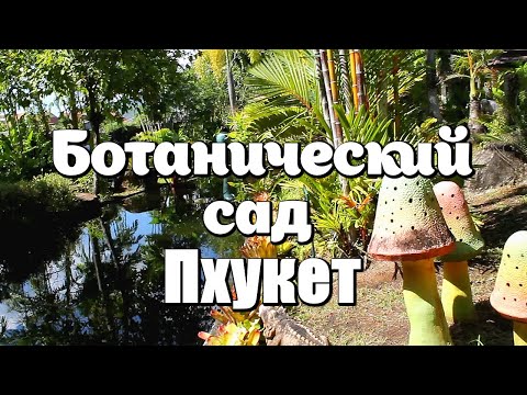 Phuket Botanic Garden. Ботанический сад - райский уголок на Пхукете