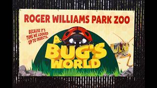 A Bug's World! - Roger Williams Park Zoo 2026