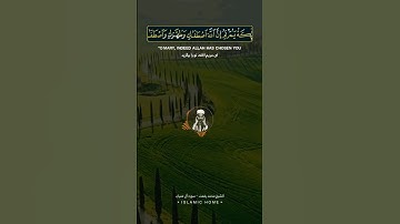 تلاوت زیبای سوره آل عمران به صدای شیخ محمد رفعت #قرآن