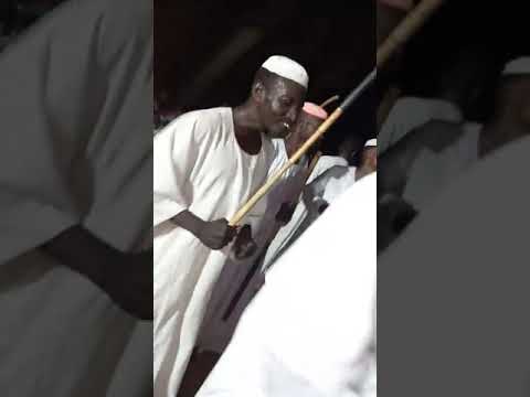 زواج الأخ فضل البدري مع العازف المريود